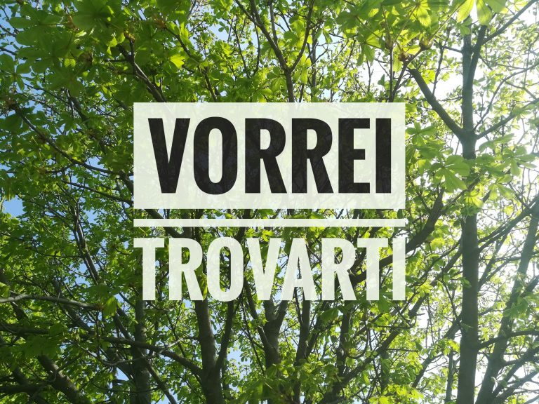 Vorrei trovarti