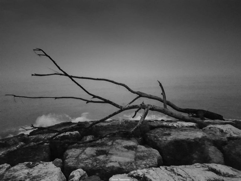 Non ti ho mai lasciato