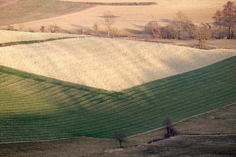 Le strade che Tu sai