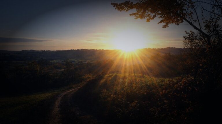 Il silenzio: la bellezza di non temere