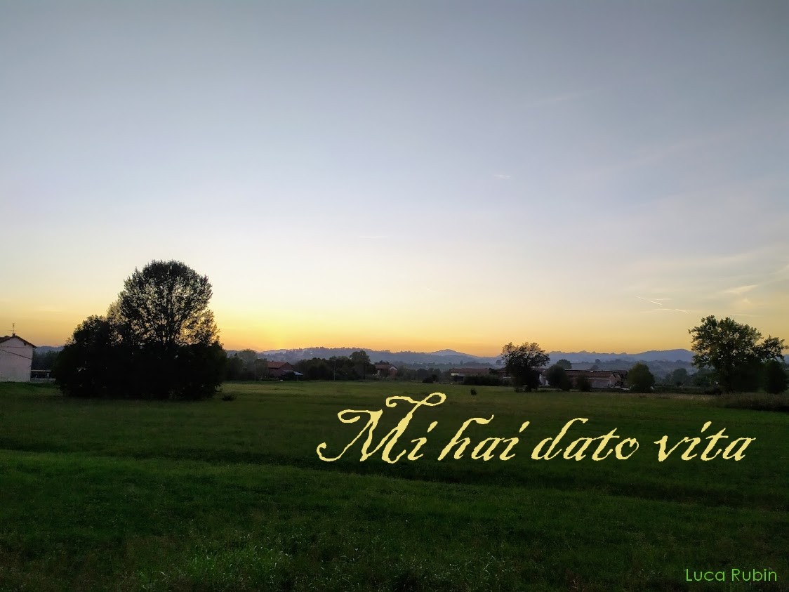 mi hai dato vita